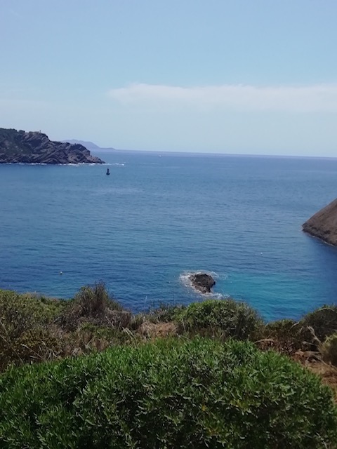 La Ciotat : une réserve marine dans la calanque du Mugel