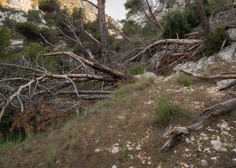 La mairie de Saint-Cyr-sur-Mer contrainte de fermer cette calanque après les intempéries