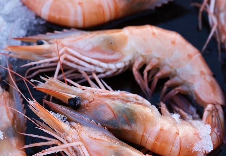 Des crevettes contaminées par une bactérie "mangeuse de chair" retirées de la vente à La Ciotat et La Seyne-sur-Mer