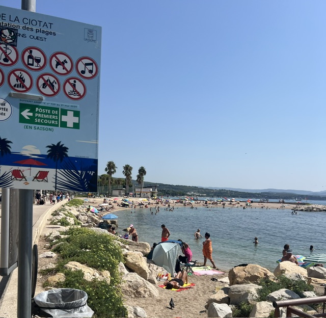 Insolite à La Ciotat : un drôle d’oiseau s’invite parmi les baigneurs… les pompiers appelés à la rescousse
