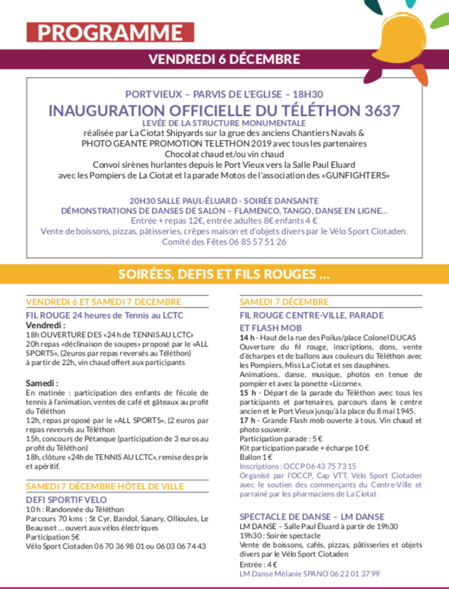 programmeTelethon2019